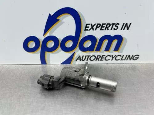 Nokkenas Verstelling-8192029