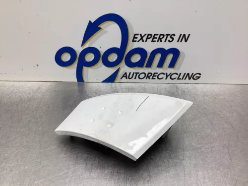 Portiergreep 4Deurs rechts-achter-8114795