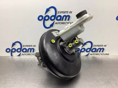 Rembekrachtiger-8076631