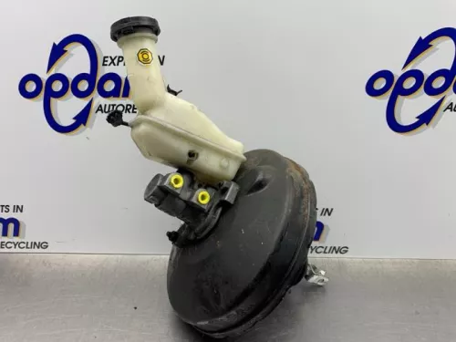 Rembekrachtiger-8228945