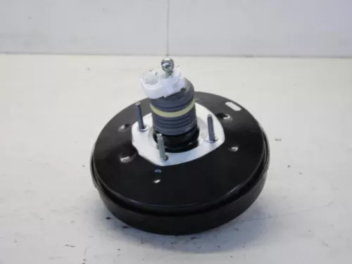 Rembekrachtiger-7882028