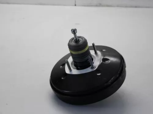 Rembekrachtiger-7879787