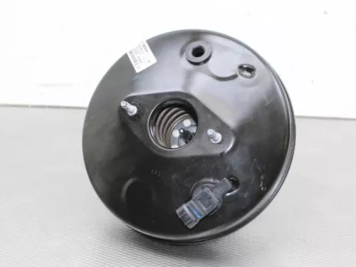 Rembekrachtiger-7882510