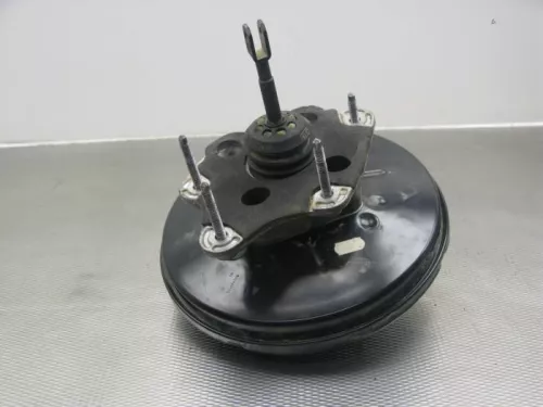 Rembekrachtiger-7889504