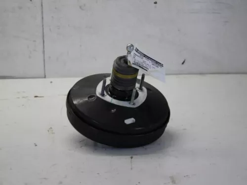 Rembekrachtiger-7880474