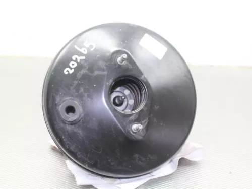 Rembekrachtiger-7863754