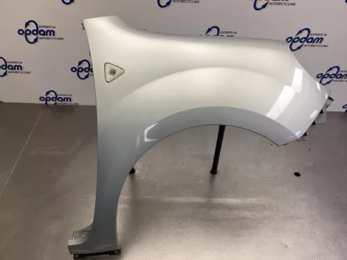 Scherm rechts-voor-7613043