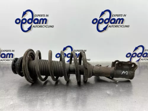 Schokdemperpoot links-voor-8318384