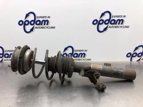Schokdemperpoot links-voor-8188115