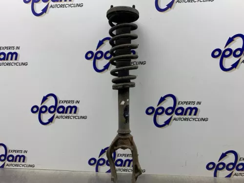 Schokdemperpoot links-voor-8118501
