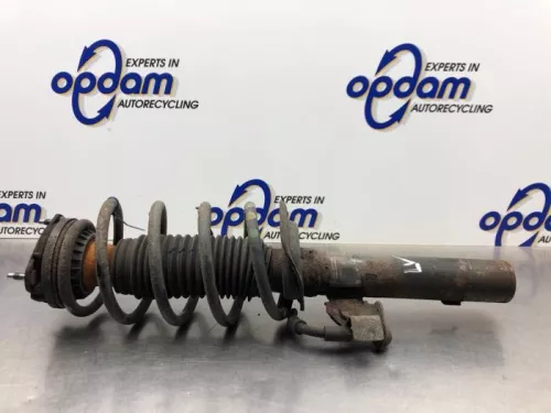 Schokdemperpoot links-voor-8269829