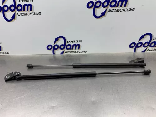 Set Gasdempers Achterklep-8212466