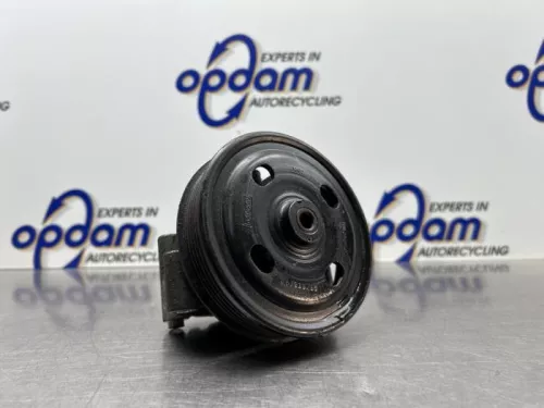 Stuurbekrachtiging Pomp-8177599