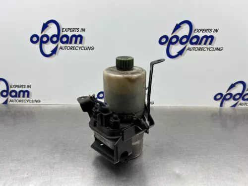 Stuurbekrachtiging Pomp-8313085