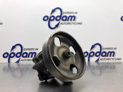 Stuurbekrachtiging Pomp-8180877