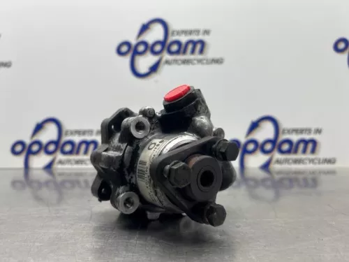 Stuurbekrachtiging Pomp-8192736