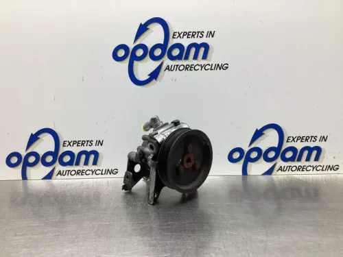 Stuurbekrachtiging Pomp-7150244