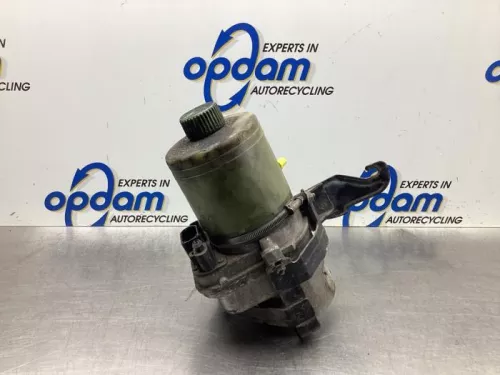 Stuurbekrachtiging Pomp-8066168