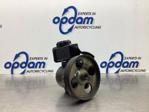 Stuurbekrachtiging Pomp-7995654