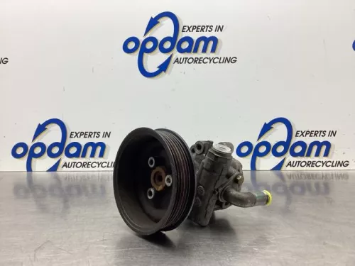 Stuurbekrachtiging Pomp-7987721