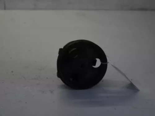 Stuurbekrachtiging Pomp-7879679