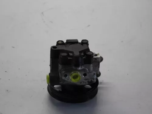 Stuurbekrachtiging Pomp-7880945