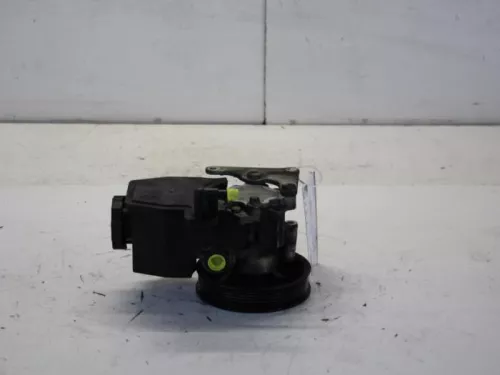 Stuurbekrachtiging Pomp-7880435