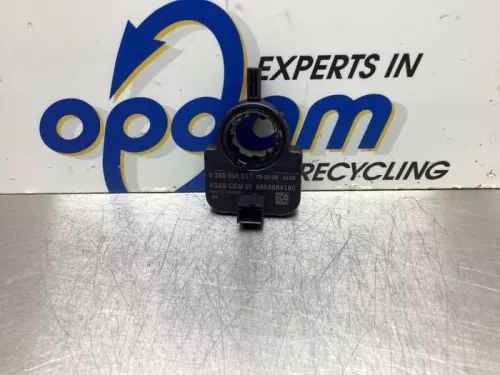 Stuurhoek sensor-8073343