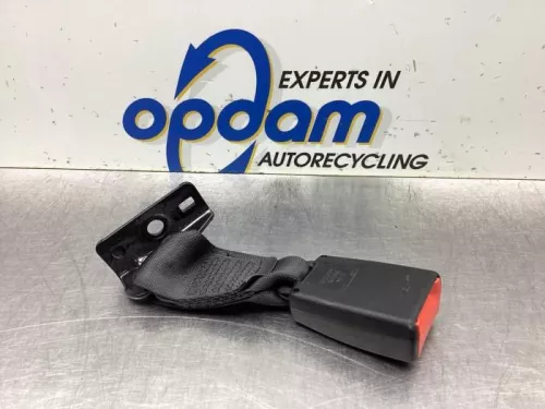 Veiligheidsgordel Insteek links-achter-8049779