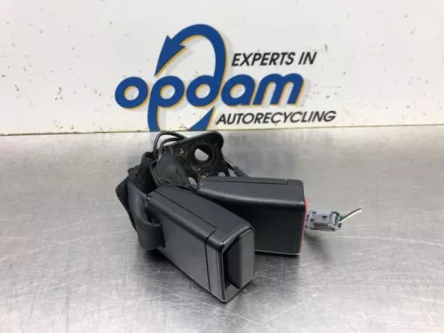 Veiligheidsgordel Insteek links-achter-8108798