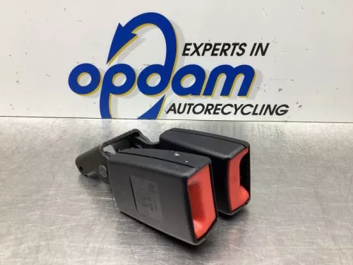 Veiligheidsgordel Insteek links-achter-7581084