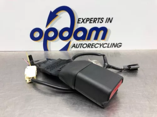 Veiligheidsgordel Insteek midden-achter-8119438