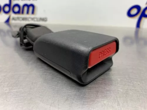 Veiligheidsgordel Insteek rechts-achter-8139102