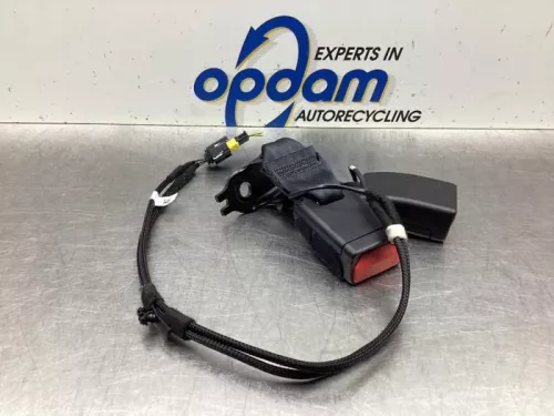 Veiligheidsgordel Insteek rechts-achter-7613982