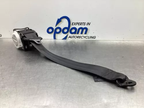 Veiligheidsgordel links-achter-8010216