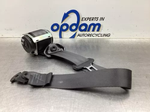 Veiligheidsgordel links-achter-8029827