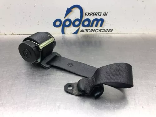 Veiligheidsgordel links-achter-8098609