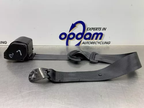 Veiligheidsgordel links-achter-8204388