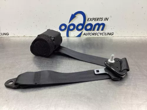 Veiligheidsgordel links-achter-8099857