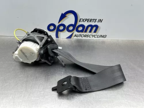 Veiligheidsgordel links-achter-8233812