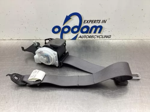 Veiligheidsgordel links-achter-8042921