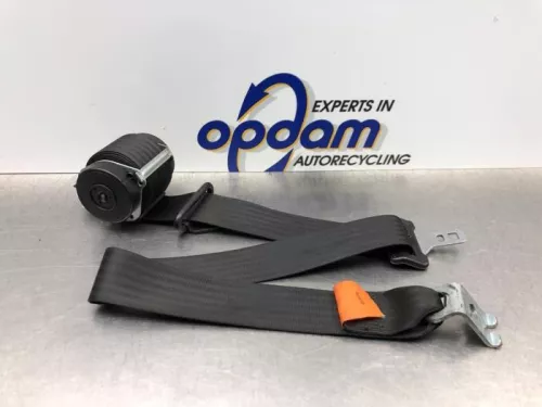 Veiligheidsgordel links-achter-8179251