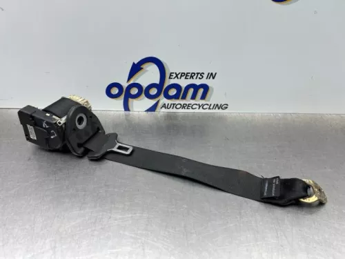 Veiligheidsgordel links-achter-8174298