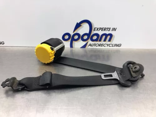 Veiligheidsgordel links-achter-8183165