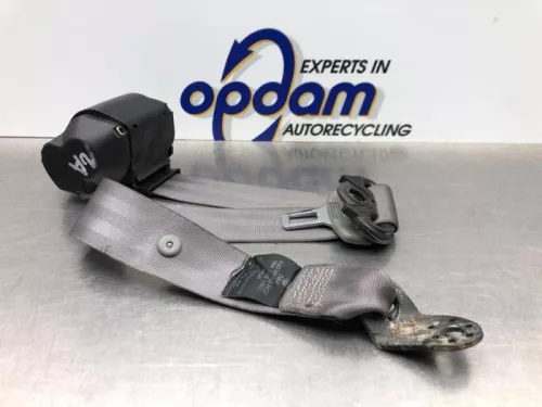 Veiligheidsgordel links-achter-8191064