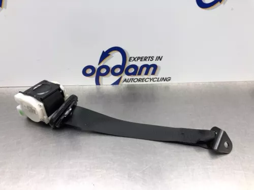 Veiligheidsgordel links-achter-8143188