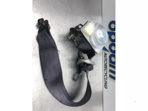 Veiligheidsgordel links-achter-7590031