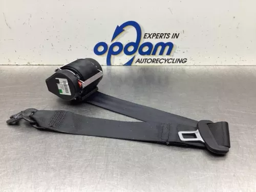 Veiligheidsgordel links-achter-8121988