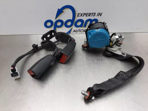 Veiligheidsgordel links-achter-7588641