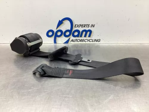 Veiligheidsgordel links-achter-7883075